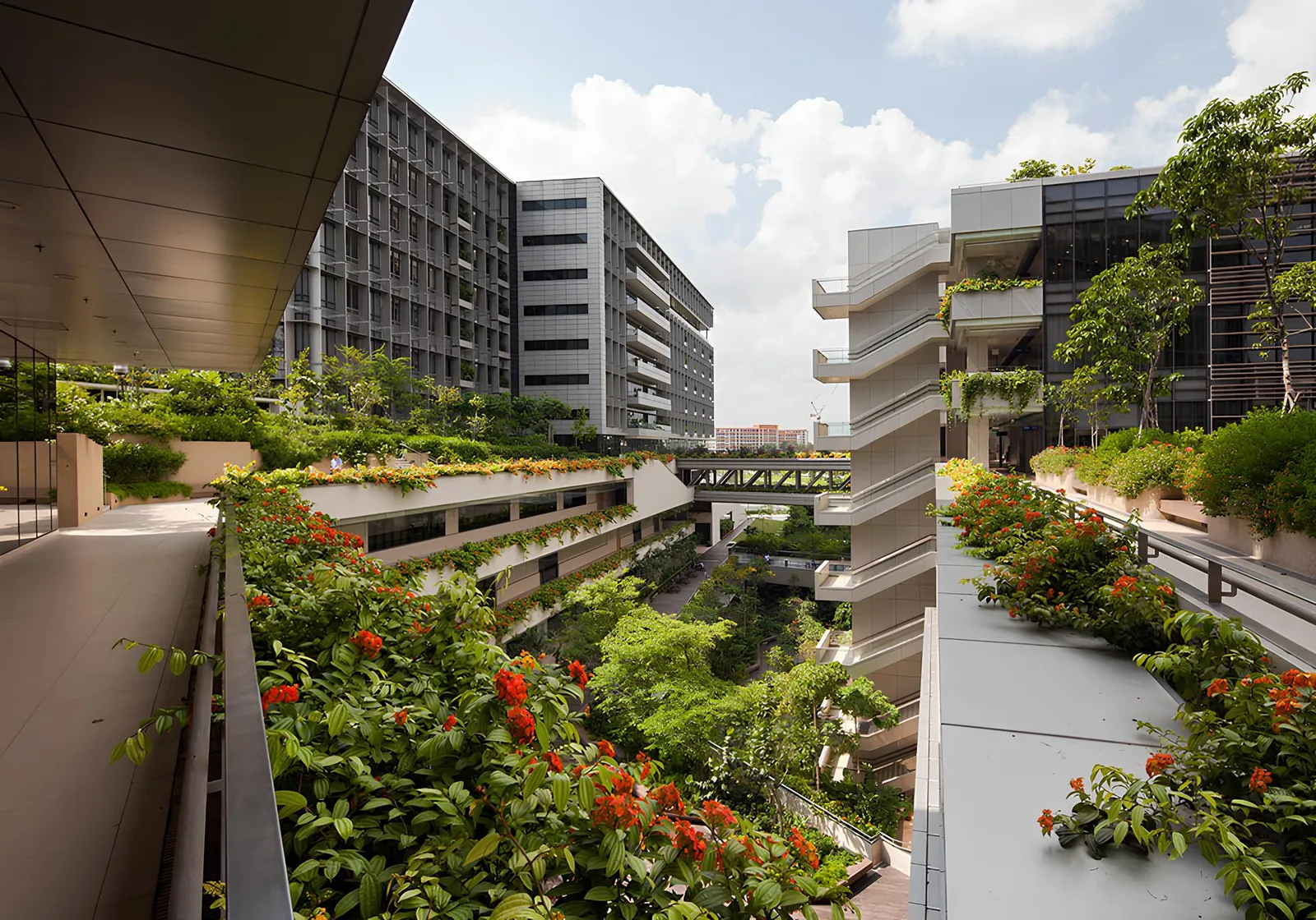 L'ospedale più vivibile al mondo è a Singapore: è progettato come se fosse un parco urbano.