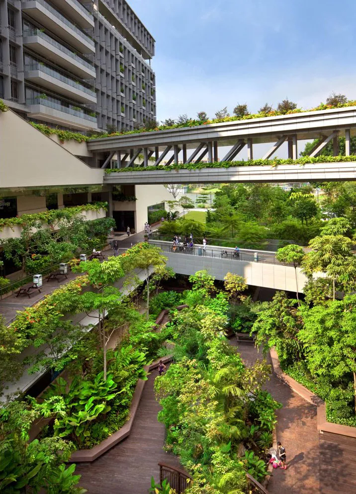 Credits: https://www.greenroofs.com/