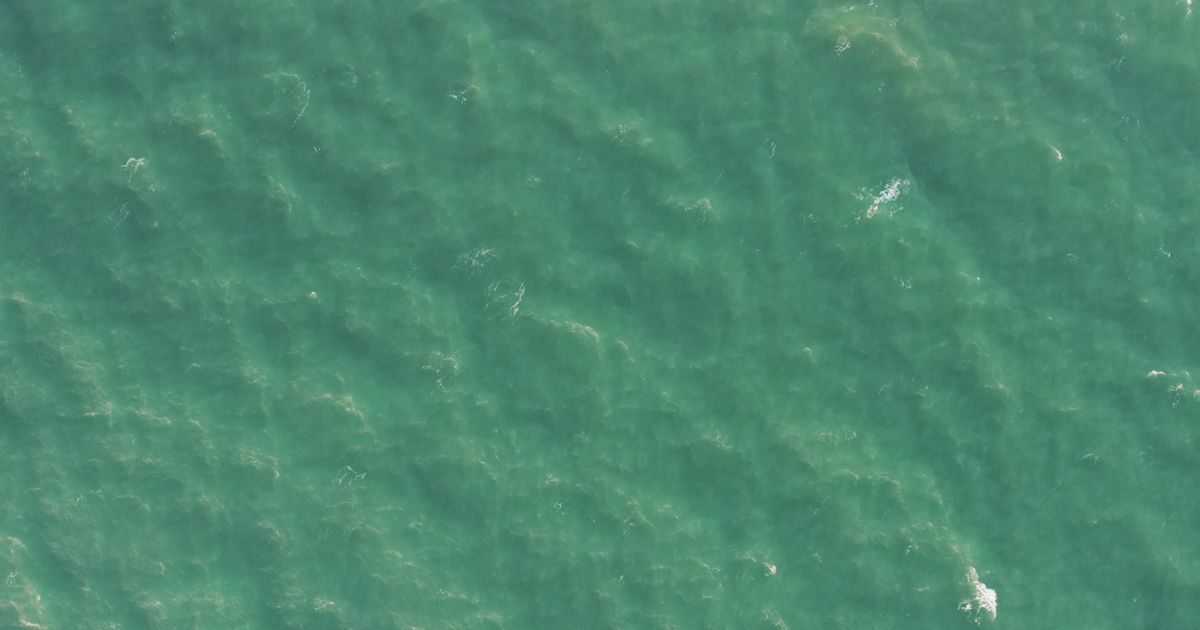 Mare mediterraneo